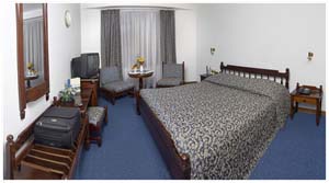 Executive single with city view, queen bed, private facilities (bath and shower), and breakfast